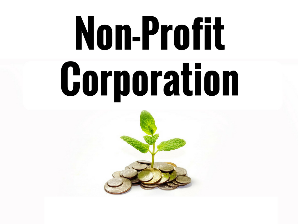 NonProfit Corporation nedir » Amerika'da Şirket